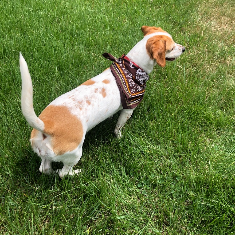 Meet your Posher, Anggie